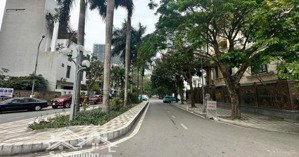 bán biệt thự vườn đào - mặt đường đôi, trục chính - 235m2 x 4t - kinh doanh - cạnh lotte - 530tr/m2