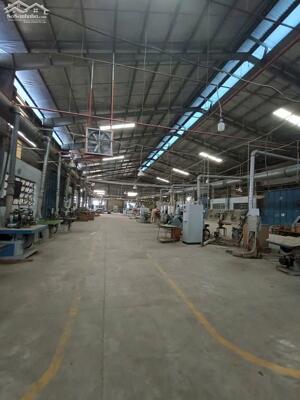 Cho thuê nhà xưởng 2.440m² tại Thuận An – Bình Dương | PCCC tự động, pháp lý đầy đủ