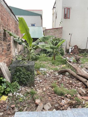 a mình cần bán 57m2 giá 57tr/1m2 có thương lượng cách đường 5 kéo dài 1km đại mạch - đa - hn