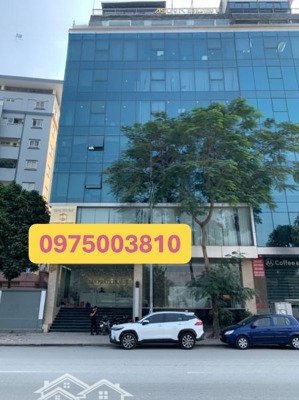 siêu phẩm mặt phố nguyễn khang dt 350m2 -11 tầng - mt 9.9m, doanh thu cả hơn 6 tỷ/năm.