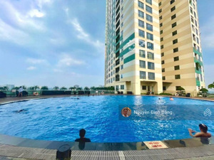 gà đẻ trứng vàng ngọclâm, long biên dòng tiền khủng hơn 150 triệu/tháng sát đ hồng tiến bv tâm anh