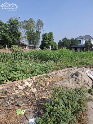 Bán đất thổ cư Tân Trại 65m² – Chỉ 1.2 tỷ, gần sân bay Nội Bài & KCN Quang Minh, KCN Nội Bài