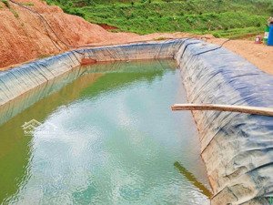 [ 4,4ha sẵn 600 gốc sầu 3 năm _ thành sơn ] * có hệ thống béc tưới tiêu * giá: 6 tỷ
