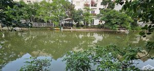 biệt thự đơn lập, 5 tầng, trang trí nội thất đồ gỗ chạm khăc tinh xảo , tỷ mỉ từng chi tiết