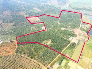 10ha đất bằng,nguồn thu mạnh,view ruộng, gần đường nhựa