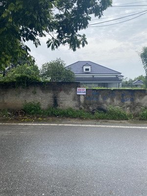 bán đất nền thanh ba, phú thọ gần cao tốc, giá 9.8 tỷ.