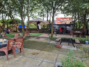 chính chủ cần nhượng lại khu vườn 4000m2 mặt sông hồng-phường tứ liên-tây hồ-hà nội view sông 50m