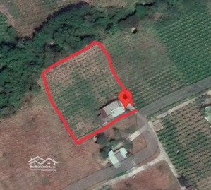 chính chủ bán 2700m2 odt cách đường nguyễn văn linh 50m ô tô, đã có 200m2 thổ cư. sổ đỏ toàn bộ.