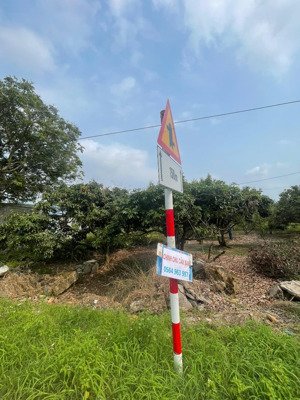 bán đất tại hoàng cương, thanh ba, phú thọ, giá 4,5 tỷ, diện tích 380 m2, nhiều tiện ích đẹp