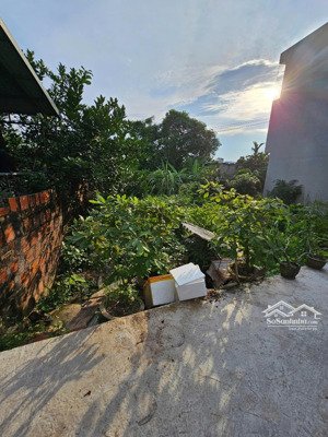 bán đất chính chủ xuân phương nam từ liêm hà nội