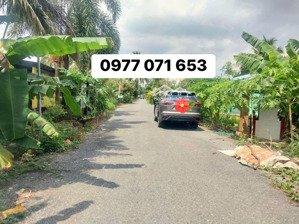bán đất đang trồng cây ca cao cho trái 100%.