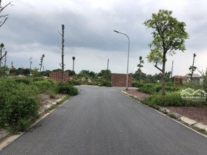 chính chủ bán đất đấu giá xứ đồng (khu b), phú lương, hà đông, hà nội