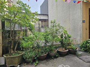 chị gái gửi bán mảnh đất đẹp mỗ lao