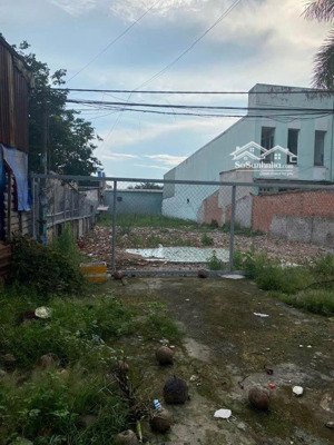 bán đất tại tỉnh lộ 887, phú nhuận, bến tre, 390 triệu, 165m2. sổ riêng ngay