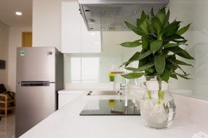 cho thuê căn 83m2, 3 phòng ngủ skyline, giá 18 triệu/tháng. nhà đầy đủ nội thất.ở liền được