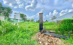 cần bán gấp đất đ. lê ngã, bình khánh, long xuyên, 120m2/550tr, shr, thổ cư 100% gần chợ sao mai