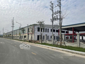 1 hecta ccn cầu yên, 19 tỷ, tp. ninh bình