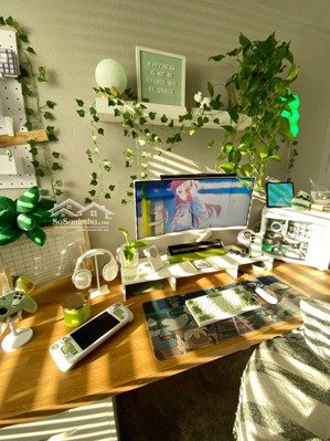 gọi tên tổ ấm hòa hưng q10 ngang 4m vị trí đẹp, đáng sống, tìm hoài mới gặp