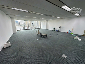 cho thuê vp, mbkd phố ngọc khánh diện tích từ 100-1000m2 tòa nhà mới đi vào hoạt động, đầy đủ pccc