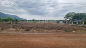 bán đất 30x52 nở hậu 33m, có sẵn 216m2 thổ cư đường Bà Triệu, TT Tân Nghĩa, Hàm Tân. Giá Rẻ