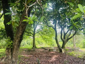 chính chủ gửi bán siêu phẩm nghỉ dưỡng view núi triệu đô tuyệt đẹp hàng xóm điền viên thôn