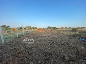 9,2 tỷ/1000m2 - đất vườn - hoàng phan, bình chánh
