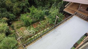 cho thuê nhà bên suối, có view, có rừng, để sinh sống hoặc kinh doanh cafe homestays đều phù hợp