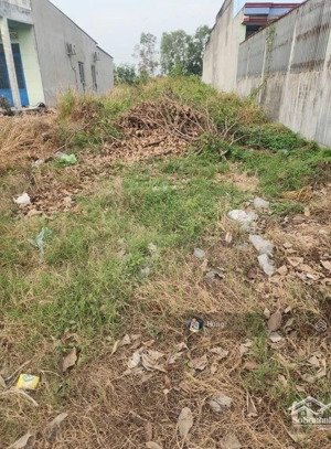 bán đất mặt tiền đường chính tại xã long hựu đông, huyện cần đước, tỉnh long an