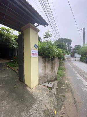 bán đất phố tân minh trung tâm tx phú thọ 250m2 x 10m gía rẻ 14 tỷ kinh doanh đỉnh