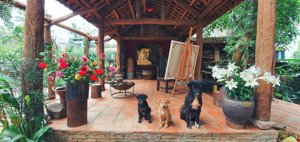 chuyển nhượng villa nghỉ dưỡng độc lạ + siêu hot tại tân vinh - lương sơn - hòa bình