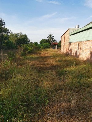 đất thổ cư thạnh bình diện tích: 692,1m2. dài: 8m, rộng: 81m. khu dân cư đông, cách đường nhựa đt