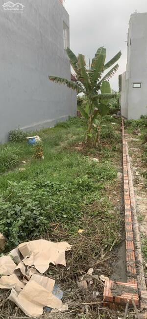 BÁN LÔ ĐẤT PHƯỜNG HƯNG ĐẠO - QUẬN DƯƠNG KINH - HẢI PHÒNG