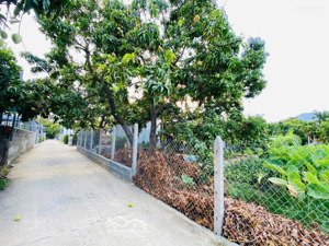 đất cam hoà 2 mặt đường oto, sát cạnh ngả tư đường 30m theo qh đô thị mới cam lâm, huy