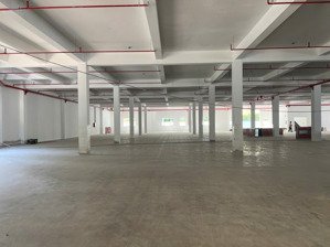 cho thuê xưởng trong kcn thuận an - bình dương. cho thuê xưởng 8100m2 tiêu chuẩn cao cấp