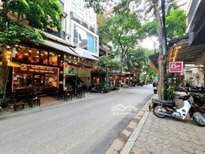 bán nhà phân lô phố nguyên hồng, đống đa, hà nội. diện tích 50m2, 6 tầng, mặt tiền 5m. giá 33 tỷ