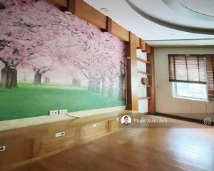 phân lô, nguyên hồng, đống đa ô tô tránh 45/60m2 x 6 tầng, mt 5m, giá 32,5 tỷ