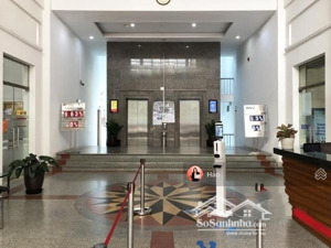 cho thuê văn phòng hạng b tòa nhà 14 láng hạ, ba đình. dt 86m2, 124m2, 195m2, 480m2 giá 330n/m2/th