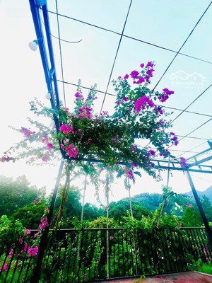 bán đất nghỉ dưỡng 2.300m² tại yên bình, thạch thất view suối, sổ đỏ hà nội, long mạch đẹp