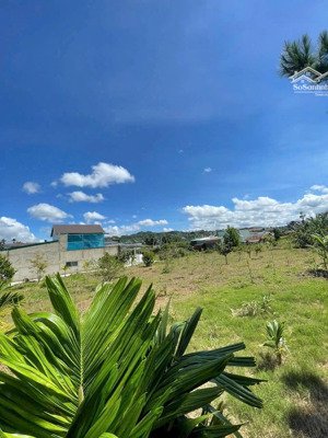 đất biệt thự vườn 1000m2 sẵn 150m2 thổ cư, xây dựng nhà được 175m2 sổ hồng sẵn, sang tên nhanh lun