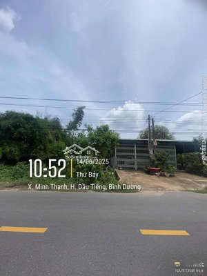 bán đất 877m2 tại dh707, minh thạnh, dầu tiếng, bình dương, giá 1,65 tỷ