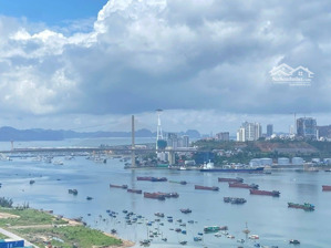 em hưng cư dân the ruby hạ long có quỹ căn cắt lỗ sâu 200-1 tỷ/căn - đặc biệt có căn 1,3x tỷ hiếm