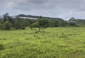 bán đất vườn ngay mặt đường 32m cách ql14 2km. hiện tại đang cho thuê làm xưởng gỗ