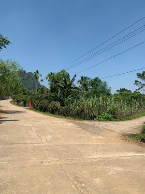 em chính chủ bán lô đất 200m2 mặt đường liên huyện tại lương sơn hoà bình.