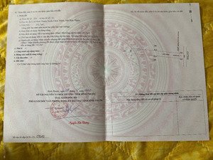 chính chủ cần tiền lo công việc bán ngay lô 252,7m2 tại ấp 5, xã minh thành. bao giá khu vực