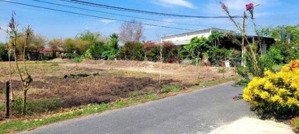 bán gấp lô đất mặt tiền x.phước thạnh củ chi diện tích 177m2 giá 440tr đang tìm chủ sổ riêng