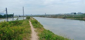 bán đất 100% thổ cư tại cam thành bắc, khu vực gần đầm thuỷ triều, quy hoạch an toàn, giá ưu đãi