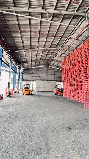 cho thuê nhà xưởng có nhiều diện tích từ 500m2 - 1.800m2 có pccc tự động tại thuận an - bd