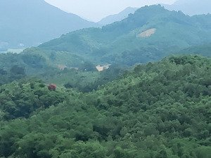 bán đất đẹp 2,8 ha tại tây phong, cao phong, gần quốc lộ 6, chỉ 600tr/ha