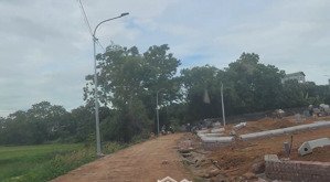 bất động sản trại hồ cổ đông tx sơn tây: vị trí vàng, pháp lý rõ ràng, đầu tư sinh lời