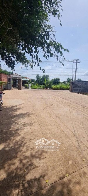 cho thuê xưởng 6500m2, pccc, tba 1000kva, trạm cân 80t. giá chỉ 130tr/th. p. long bình - biên hoà